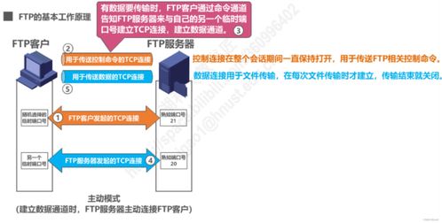 計算機網絡應用層 信息咨詢服務的核心引擎